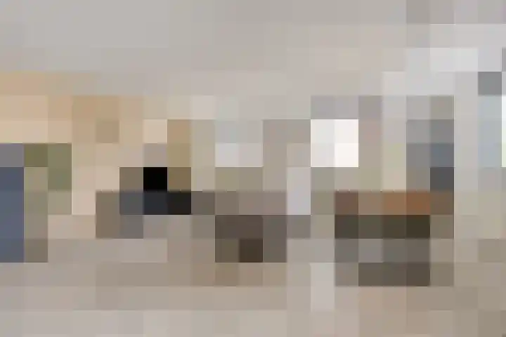 Middellaan 460 C13 Breda thumbnail 7