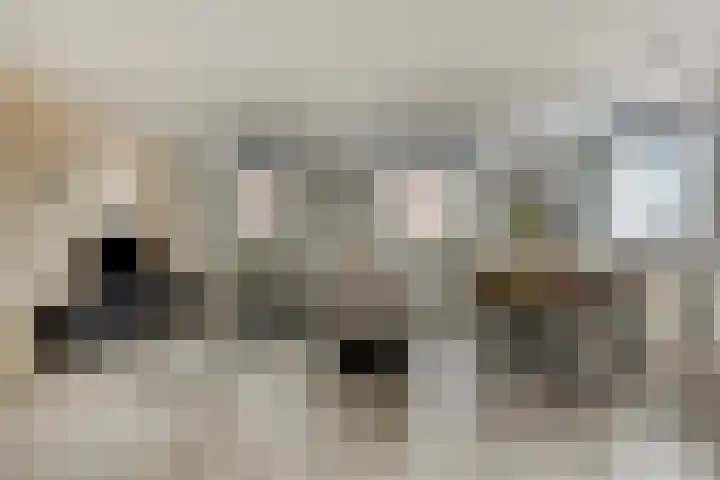Middellaan 460 C13 Breda thumbnail 8
