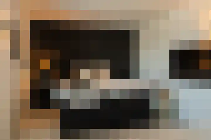 Middellaan 50 Breda thumbnail 32