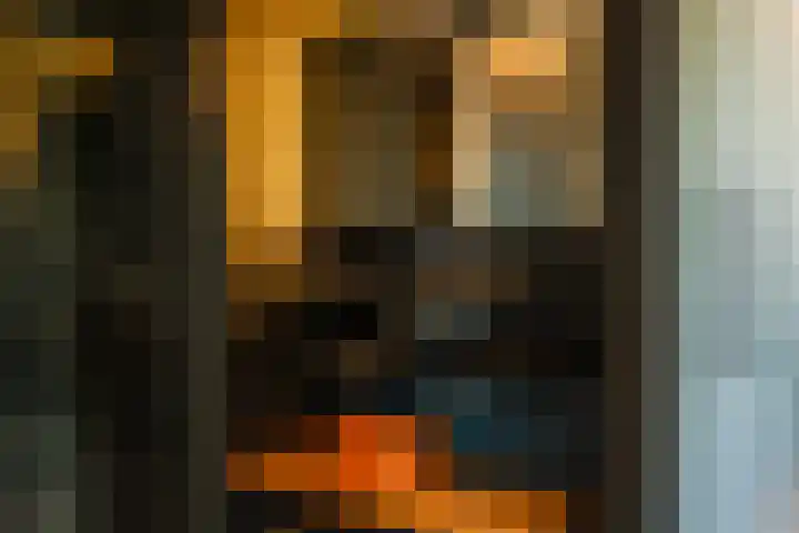 Middellaan 50 Breda thumbnail 43