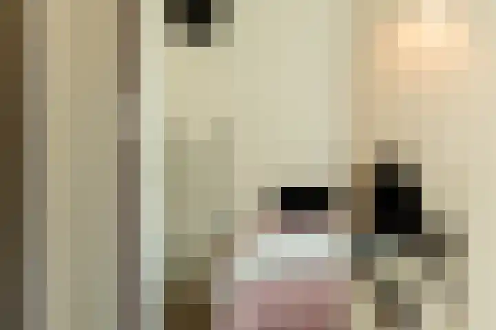 Middellaan 50 Breda thumbnail 46