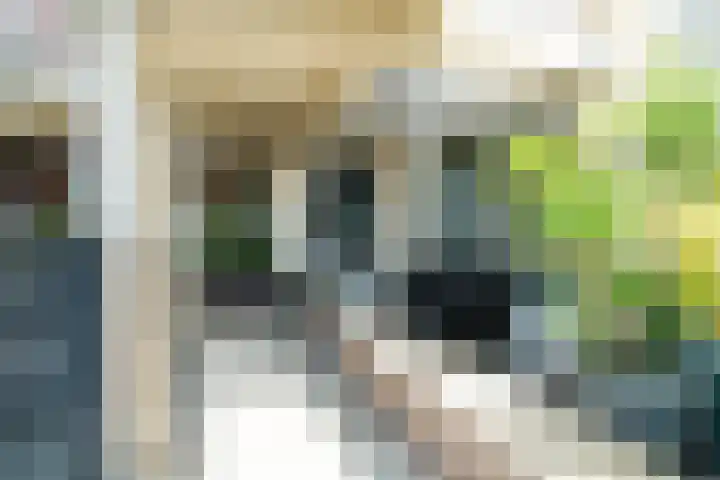 Middellaan 50 Breda thumbnail 52