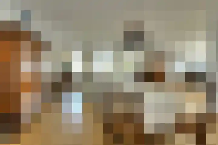 Middellaan 58 Breda thumbnail 22