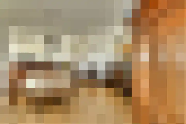 Middellaan 58 Breda thumbnail 26