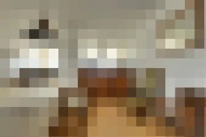 Middellaan 58 Breda thumbnail 27