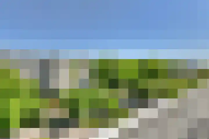 Middellaan 58 Breda thumbnail 29