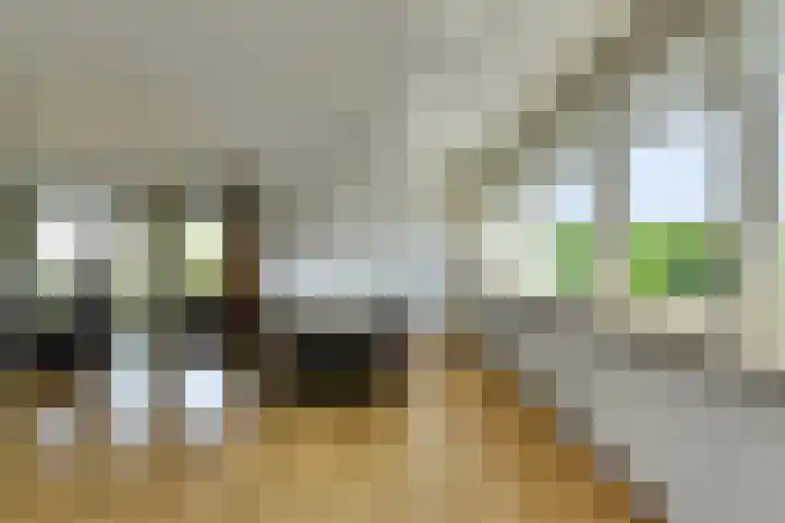 Middellaan 58 Breda thumbnail 31