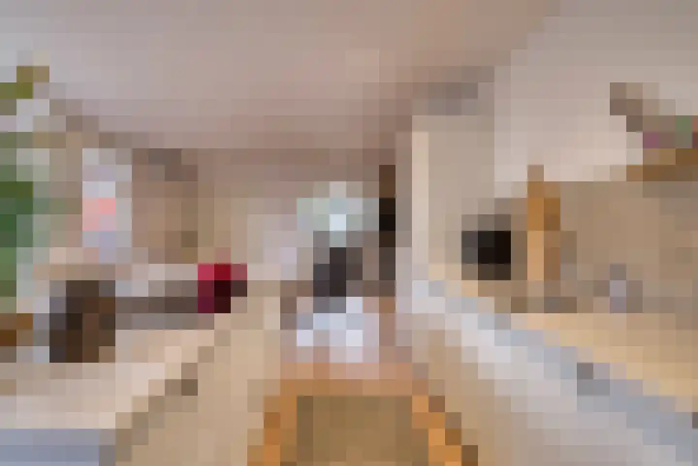 Middellaan 69 Veenendaal thumbnail 13