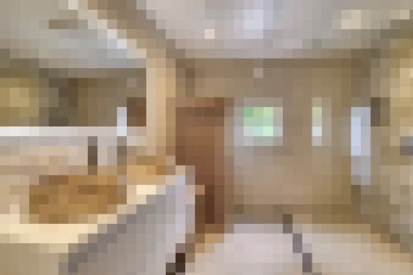 Middellaan 69 Veenendaal thumbnail 19