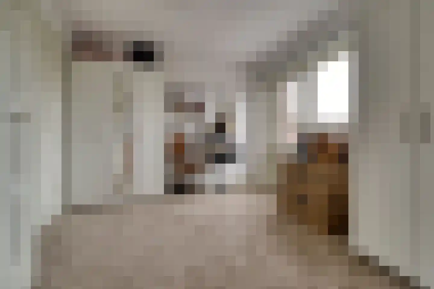 Middellaan 69 Veenendaal thumbnail 32
