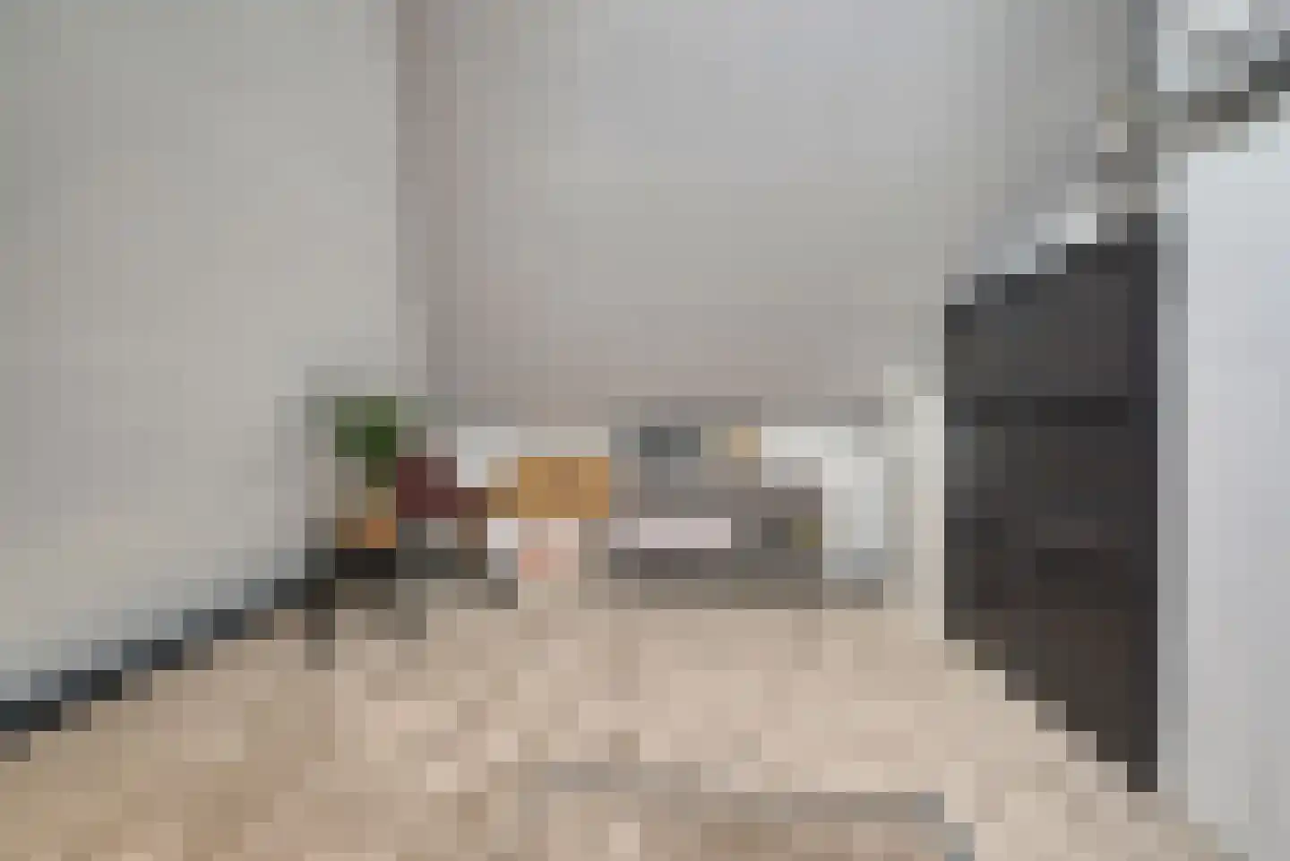 Middellaan 69 Veenendaal thumbnail 34