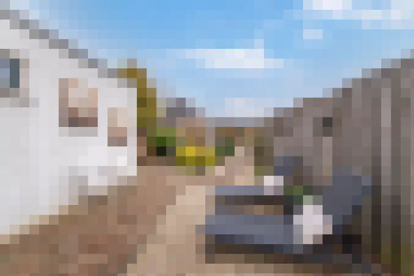 Middellaan 69 Veenendaal thumbnail 35