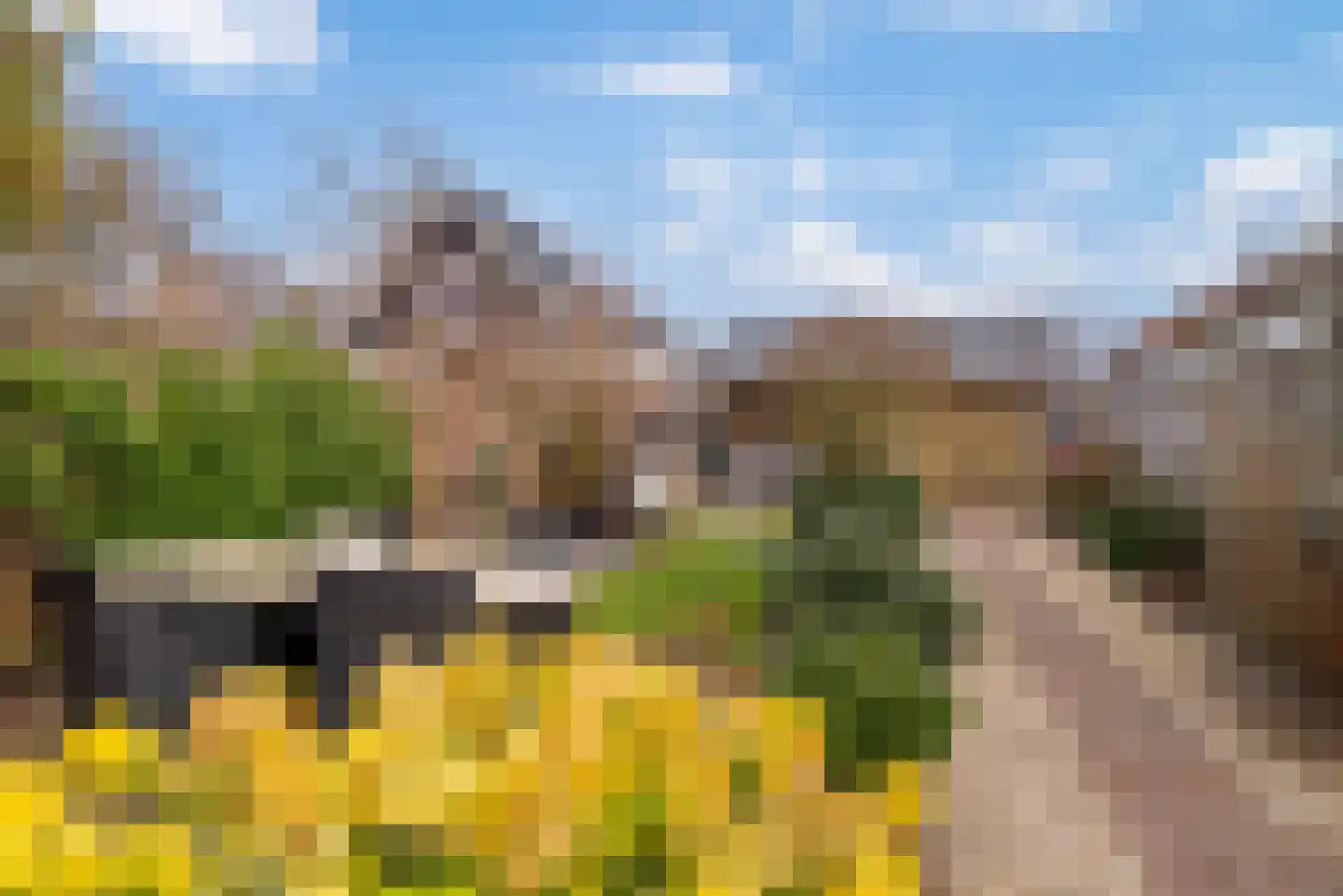 Middellaan 69 Veenendaal thumbnail 36