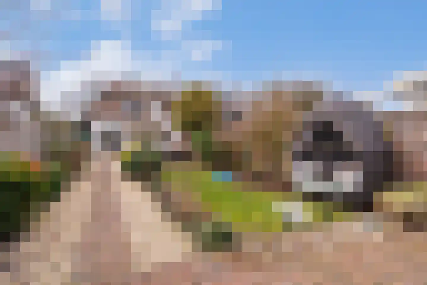 Middellaan 69 Veenendaal thumbnail 41