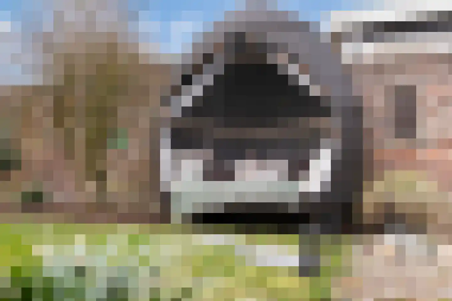 Middellaan 69 Veenendaal thumbnail 42