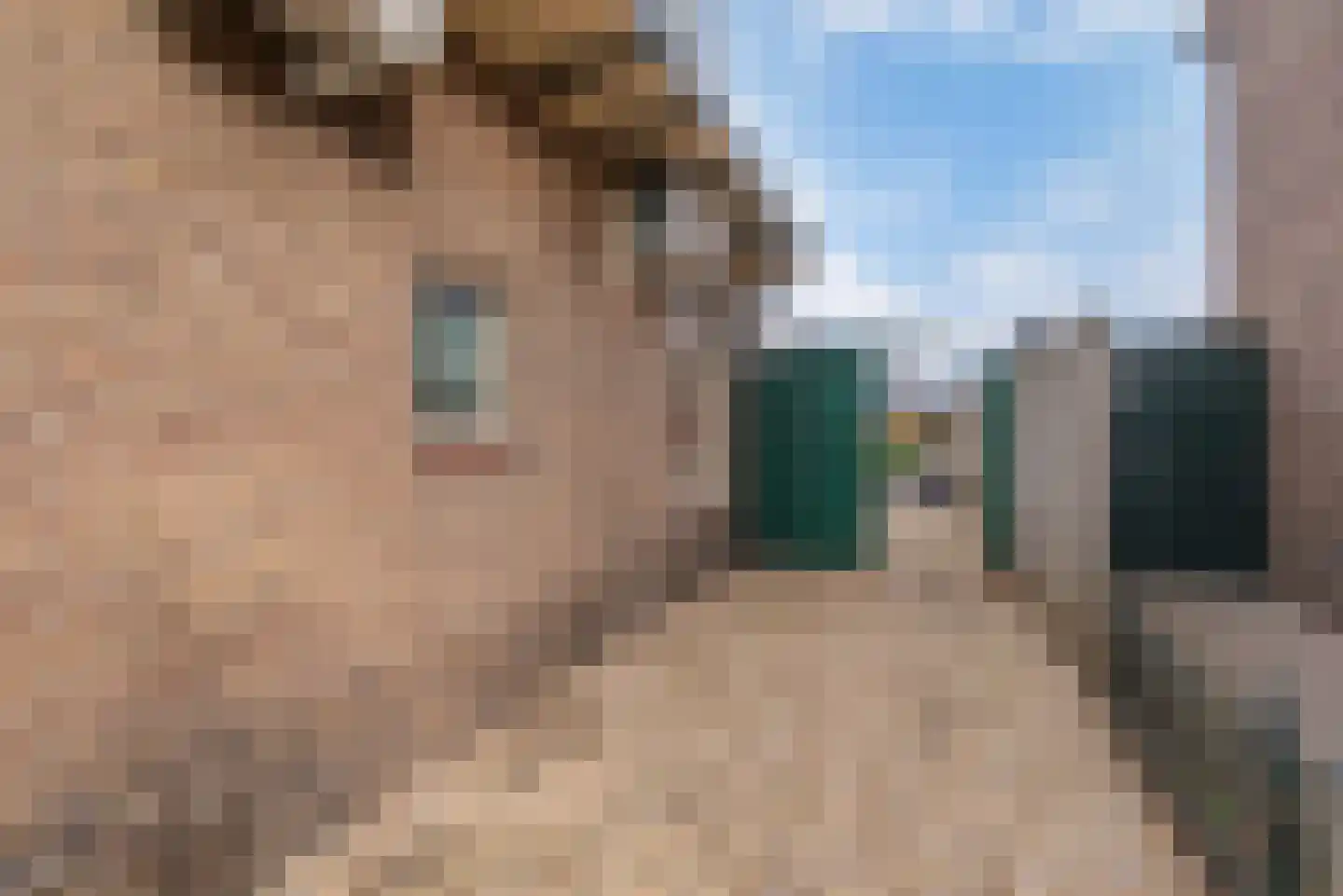 Middellaan 69 Veenendaal thumbnail 43