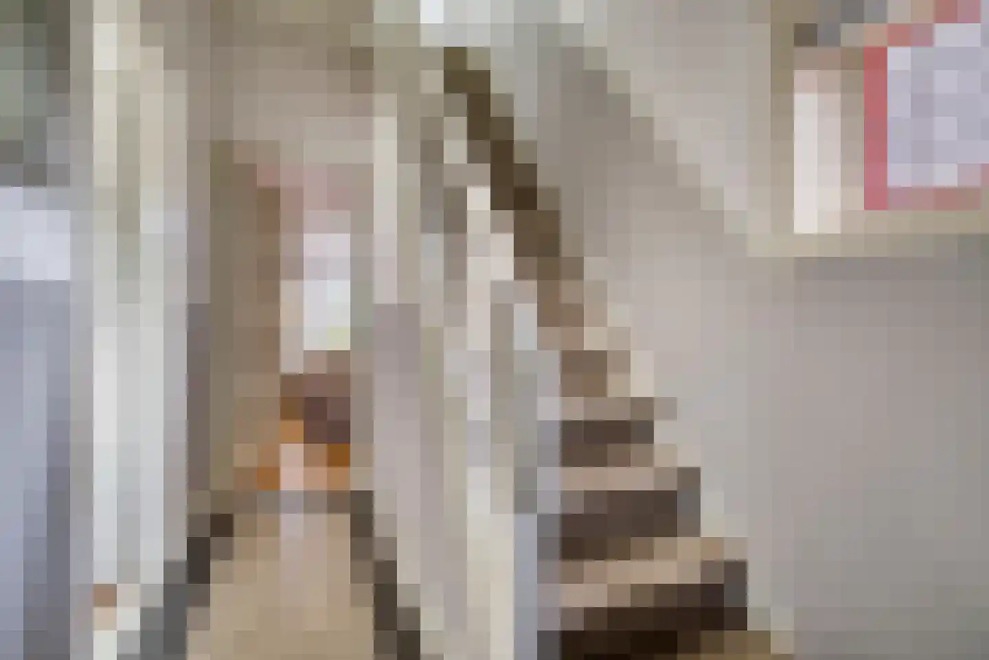 Middellaan 69 Veenendaal thumbnail 5
