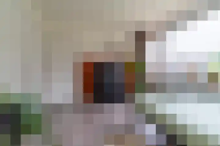 Middellaan 7 Veenendaal thumbnail 17