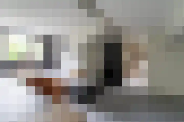 Middellaan 7 Veenendaal thumbnail 22