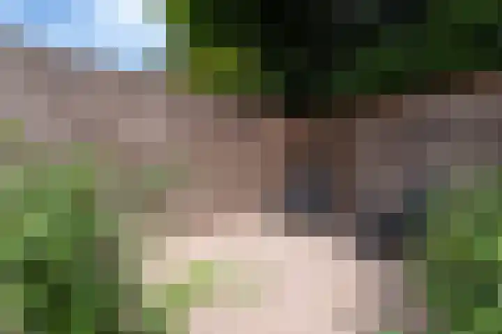 Middellaan 7 Veenendaal thumbnail 26