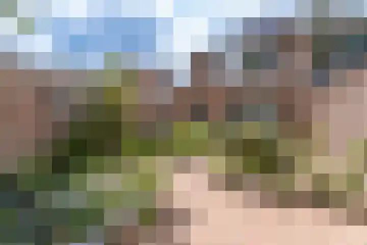 Middellaan 7 Veenendaal thumbnail 27