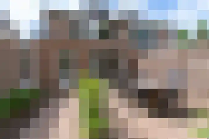 Middellaan 7 Veenendaal thumbnail 28