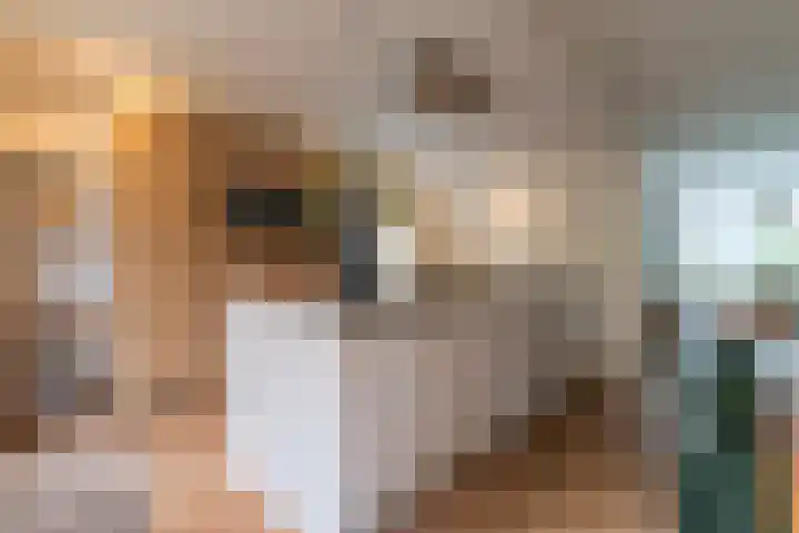 Middellaan 7 Veenendaal thumbnail 9