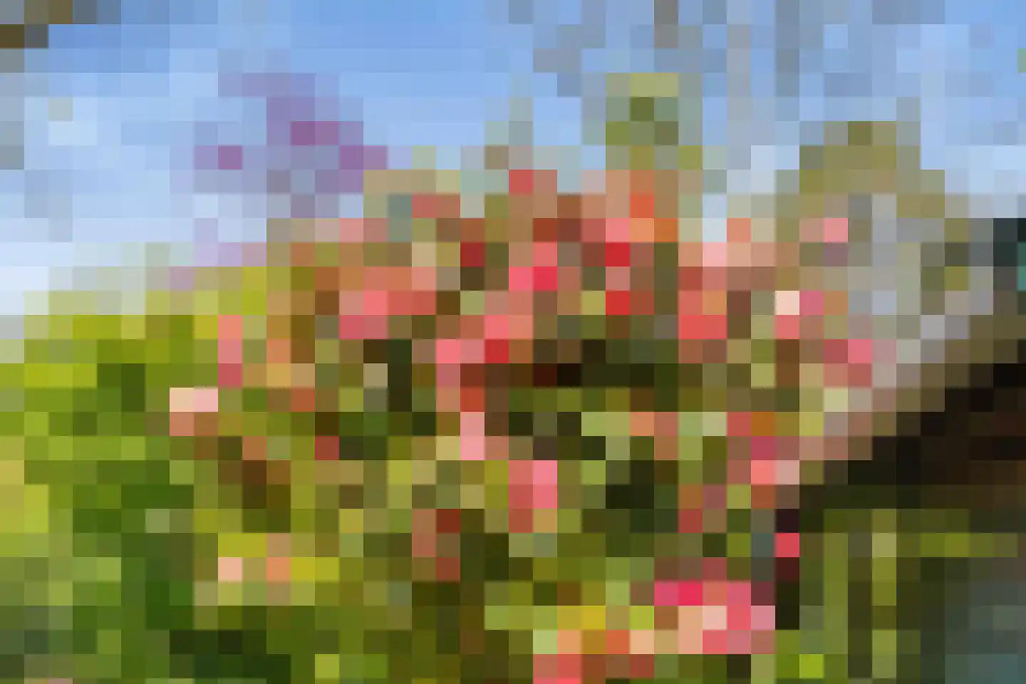 Middellaan 9 Bilthoven thumbnail 25