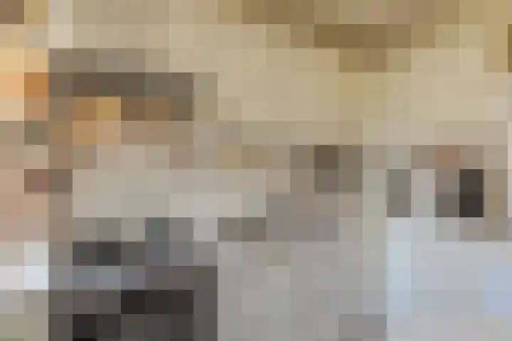 Middellaken 17 Leusden thumbnail 17