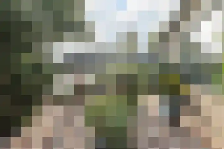 Middellaken 17 Leusden thumbnail 7