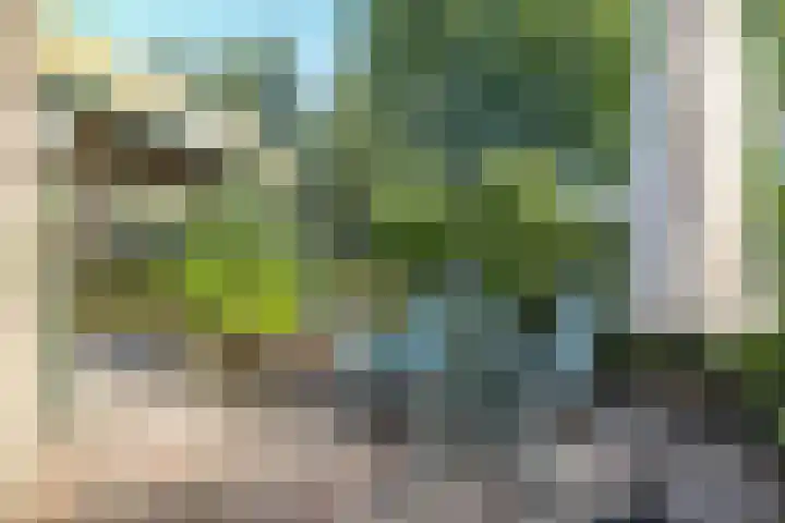 Middellaken 17 Leusden thumbnail 8
