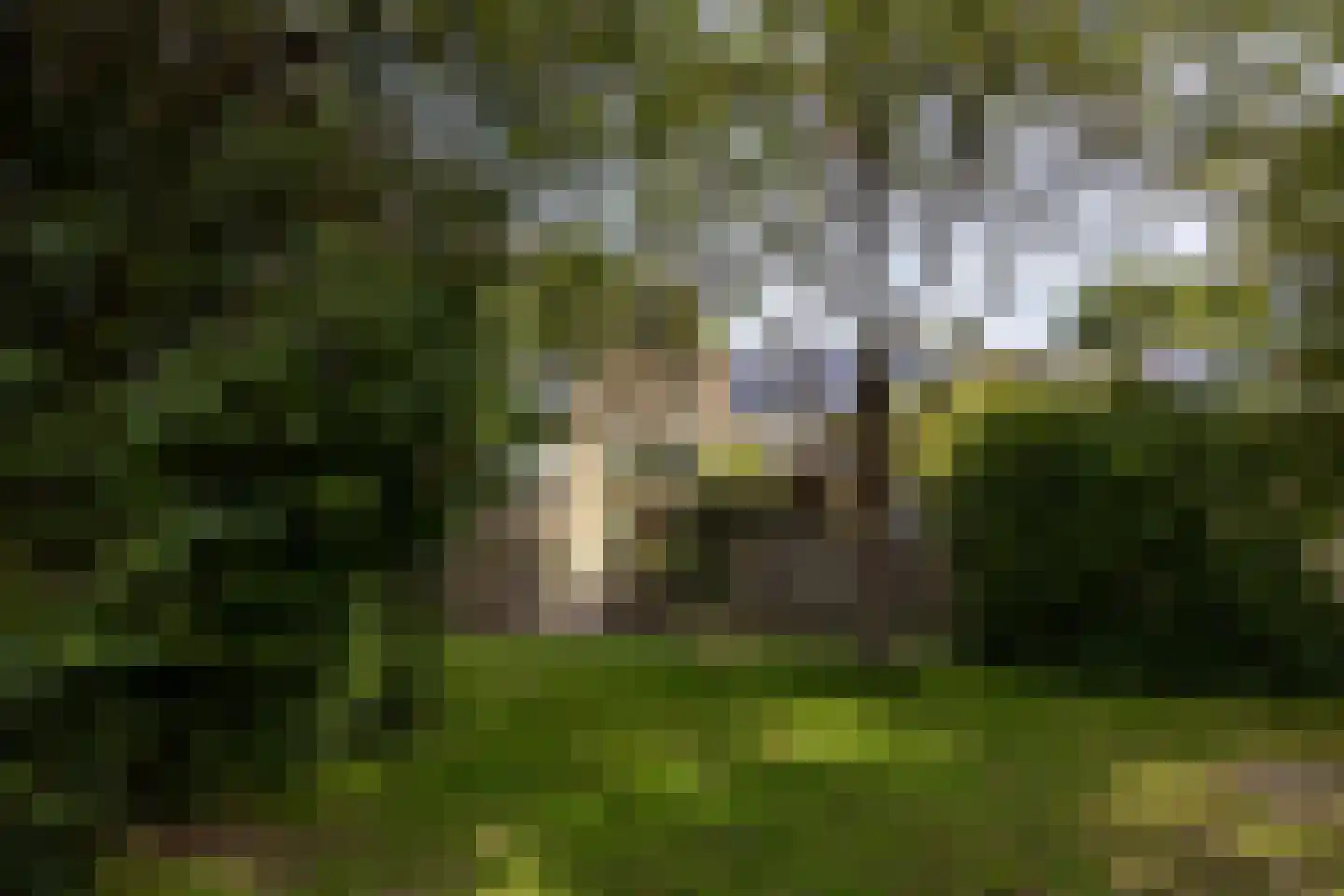 Middellaken 29 Leusden thumbnail 33