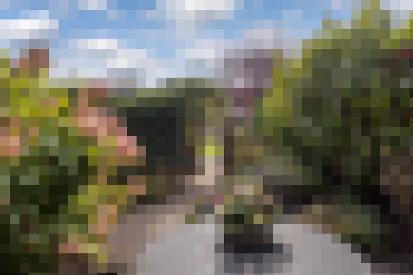 Middellaken 3 Leusden thumbnail 13