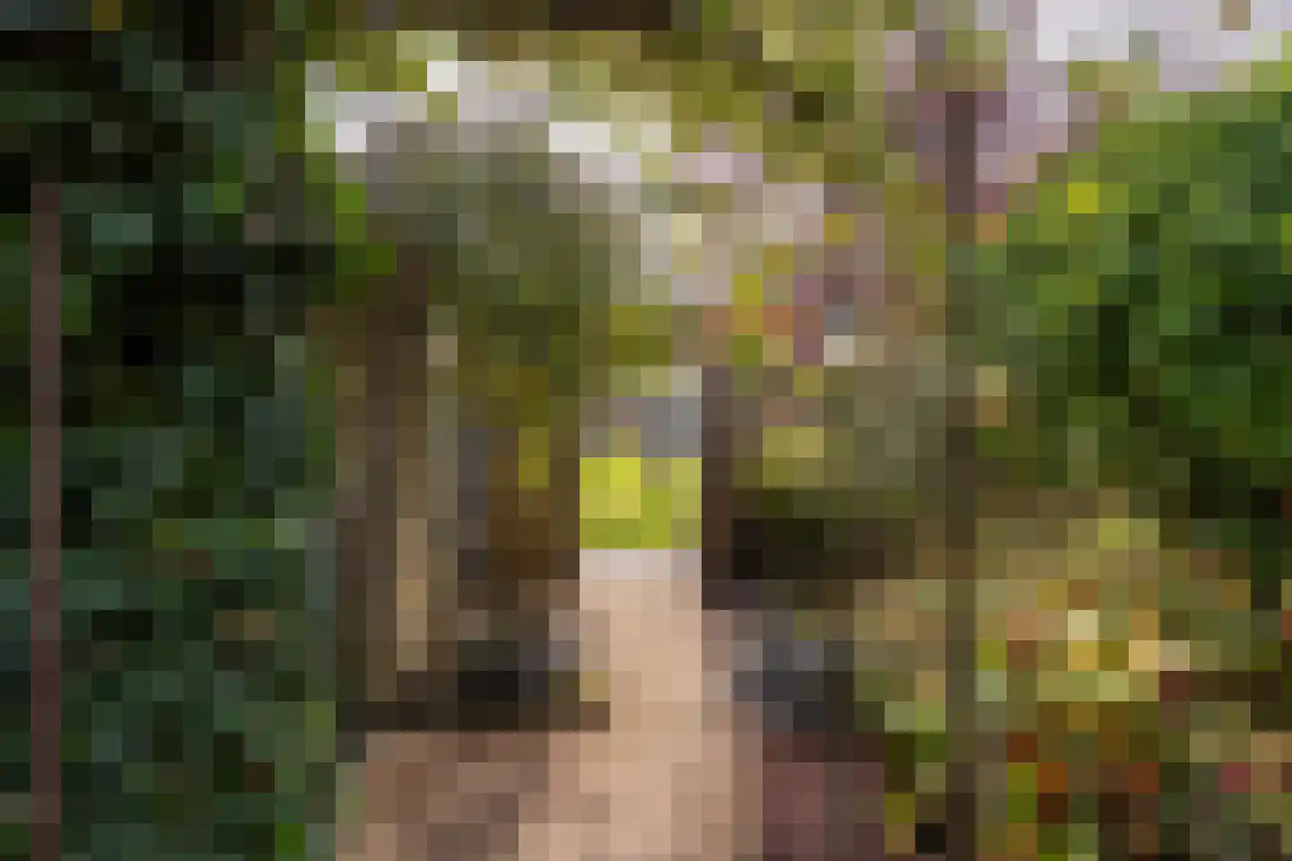 Middellaken 3 Leusden thumbnail 15