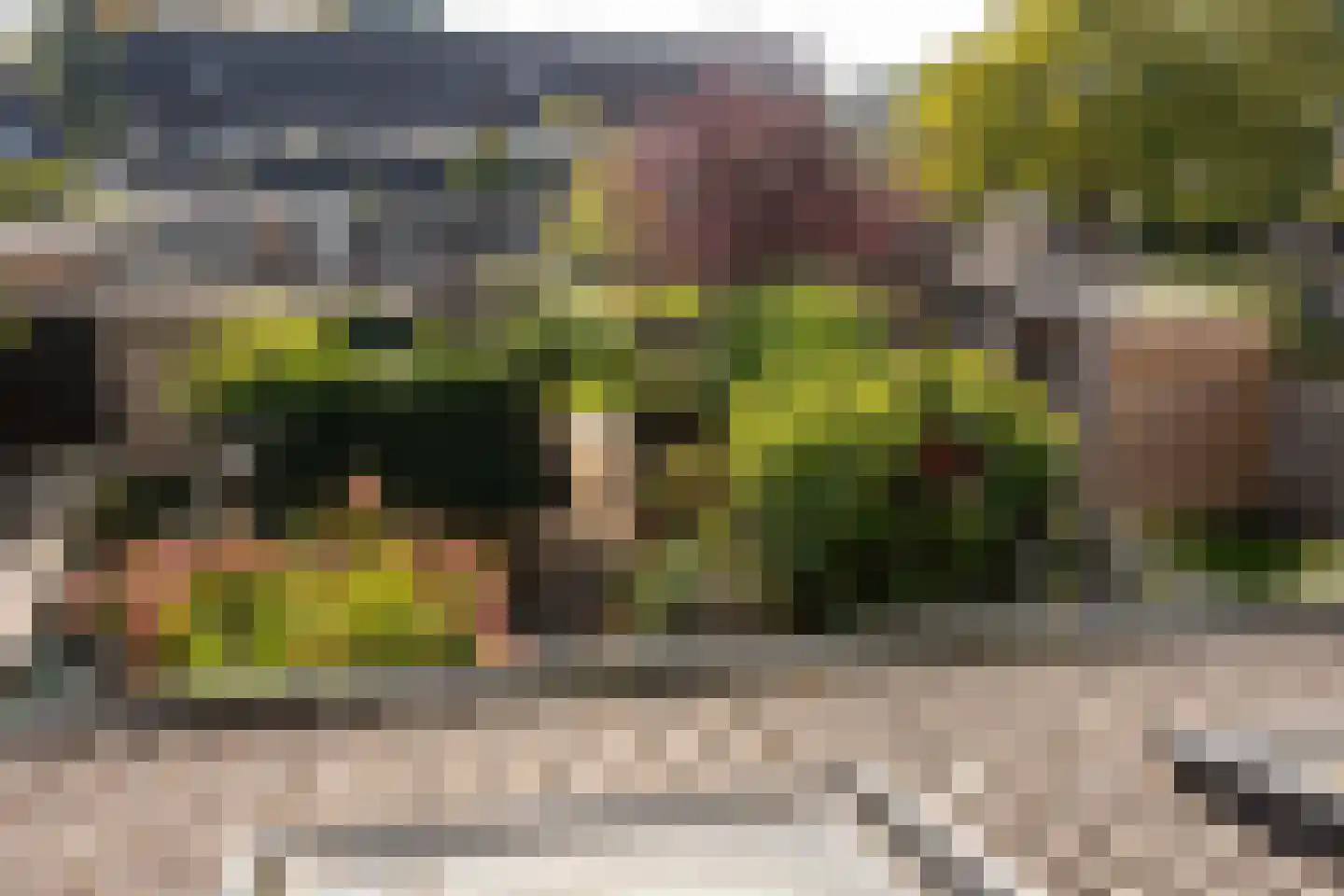 Middellaken 3 Leusden thumbnail 32