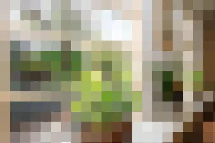 Middelland 2 Krimpen aan de Lek thumbnail 14