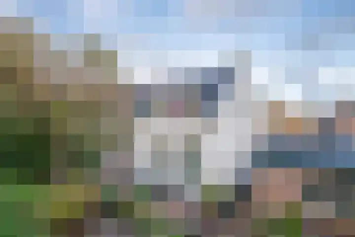 Middelland 2 Krimpen aan de Lek foto 2