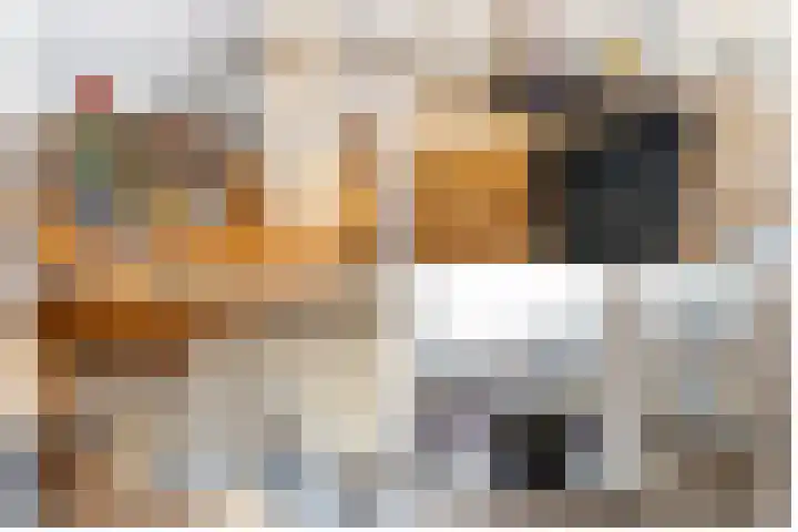 Middelland 2 Krimpen aan de Lek thumbnail 20