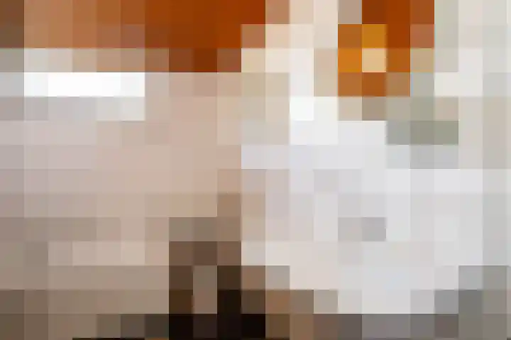 Middelland 2 Krimpen aan de Lek thumbnail 23