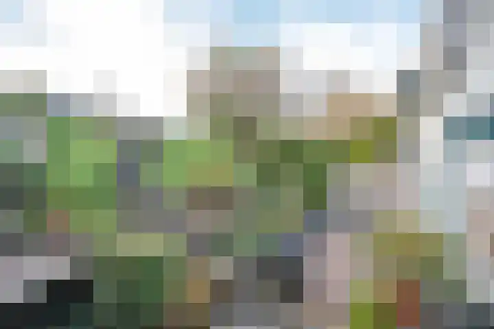 Middelland 2 Krimpen aan de Lek thumbnail 37
