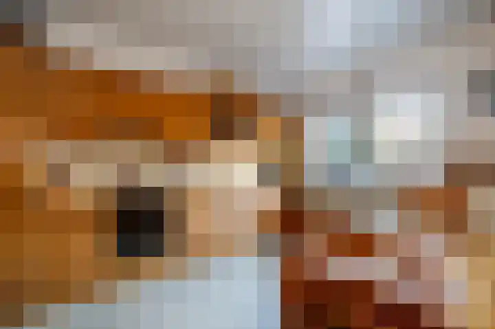 Middelland 2 Krimpen aan de Lek thumbnail 4