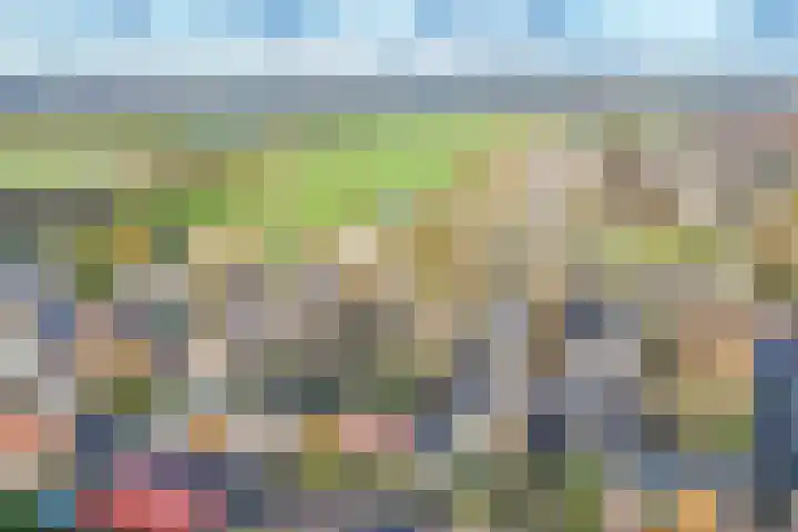 Middelland 2 Krimpen aan de Lek thumbnail 46