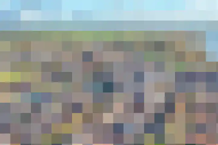 Middelland 2 Krimpen aan de Lek thumbnail 48