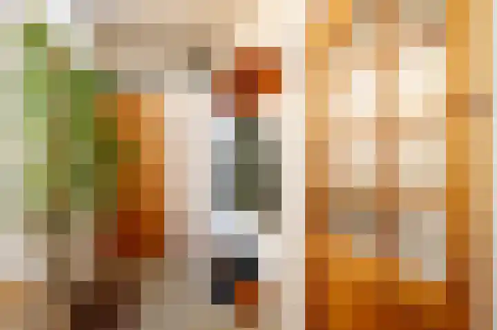 Middelland 2 Krimpen aan de Lek thumbnail 7
