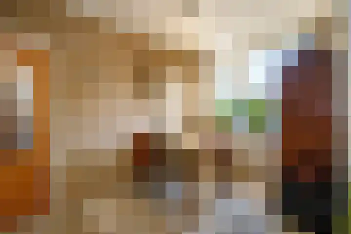 Middelland 2 Krimpen aan de Lek thumbnail 9