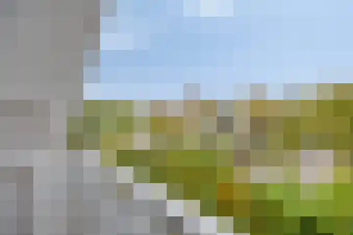 Middelland 3 Bergen op Zoom thumbnail 15