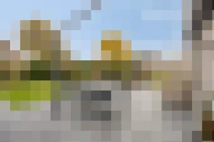 Middelland 3 Bergen op Zoom thumbnail 26