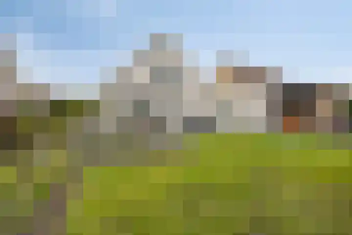 Middelland 3 Bergen op Zoom thumbnail 29