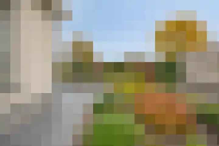 Middelland 3 Bergen op Zoom thumbnail 31