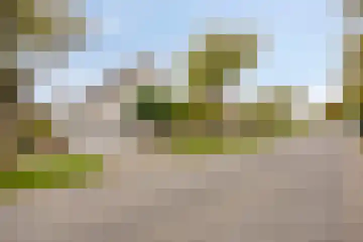 Middelland 3 Bergen op Zoom thumbnail 33